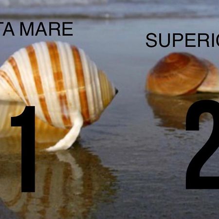 La Conchiglia A Marina Lejlighed Marina Di Carrara Eksteriør billede